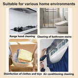 INSMART 2500W Handheld Steam Cleaner,15s Fast Heat-Up,1600ml Large Tank,3 Steam Levels,Portable Steamer for Floors,Tile,Grout,Car,Couch – Includes 7 Accessories (110V/220V)