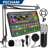 PECHAM Condenser Microphone Bundle, Audio Mixer Condenser Microphone with Voice Changer - Silver