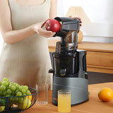 INSMART Cold Press Juicer for Home Use,Masticating Juicer with 3.6" Wide Feed Chute,300w Slow Juicer Machines,High Juice Yield,Quiet, Easy to Clean for Whole Vegetables & Fruits(27 fl oz,Black)