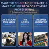 PECHAM Condenser Microphone Bundle, Audio Mixer Condenser Microphone with Voice Changer - Silver