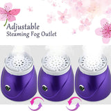 https://www.walmart.com/ip/INSMART-Nano-Ion-Facial-Steamer-Adjustable-Steam-Nozzle-Nasal-Mask-8-10-Minute-Deep-Pore-Cleansing-Hydration-Acne-Blackheads-Dull-Skin-Portable-Steam/16532315234?classType=REGULAR&selectedSellerId=102726354