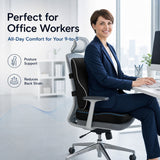 IBTORO Lumbar Support Pillow and Seat Cushion Set for Office Chair Car