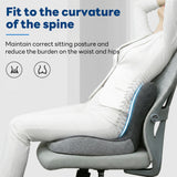 IBTORO Ergonomic Seat Cushion with Lumbar Support, Memory Foam Cushion for Office and Car Chair, Gray Two-Tone