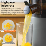 INSMART Cold Press Juicer for Home Use,Masticating Juicer with 3.6" Wide Feed Chute,300w Slow Juicer Machines,High Juice Yield,Quiet, Easy to Clean for Whole Vegetables & Fruits(27 fl oz,Black)