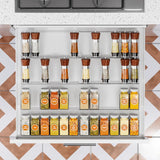 INSMART Spice Drawer Organizer for Kitchen,4-Tier Expandable Drawer Spice Rack Organizer(11-22in Adjustable,Slope Design) for Drawer/Countertop,Clear